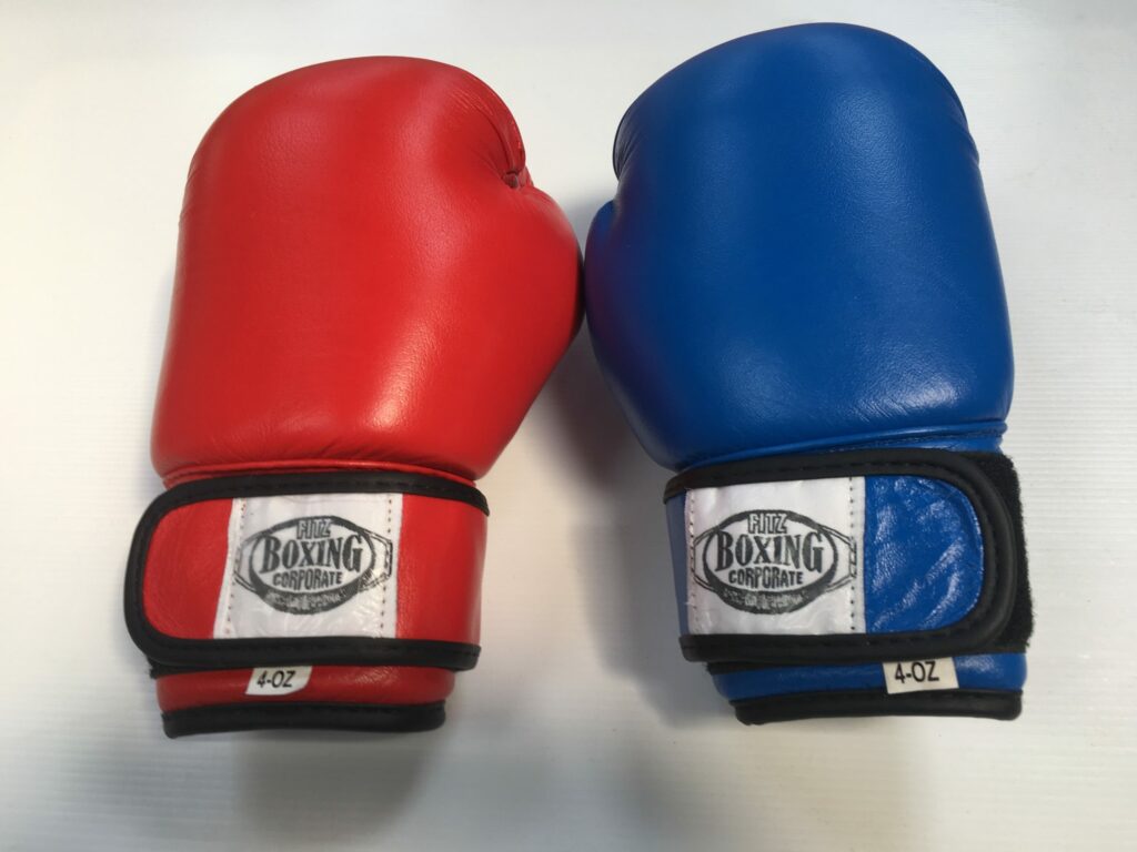 Leather Boxing Gloves 4 Oz Christchurch Martial Arts leather-boxing-gloves-4-oz-christchurch-martial-arts